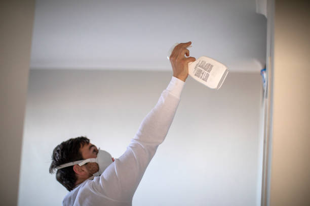 Best Basement Mold Remediation in Rogers, MN